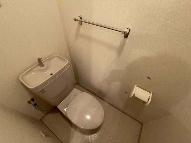 清潔感のあるトイレです。