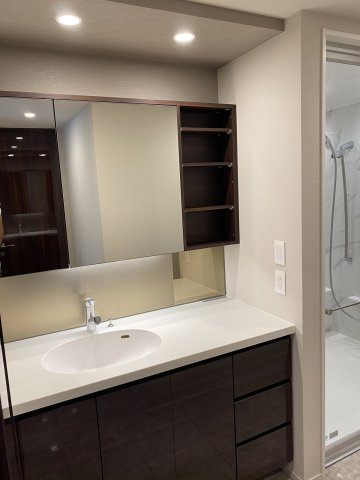 HARUMI FLAG SEA VILLAGE D棟の独立洗面台