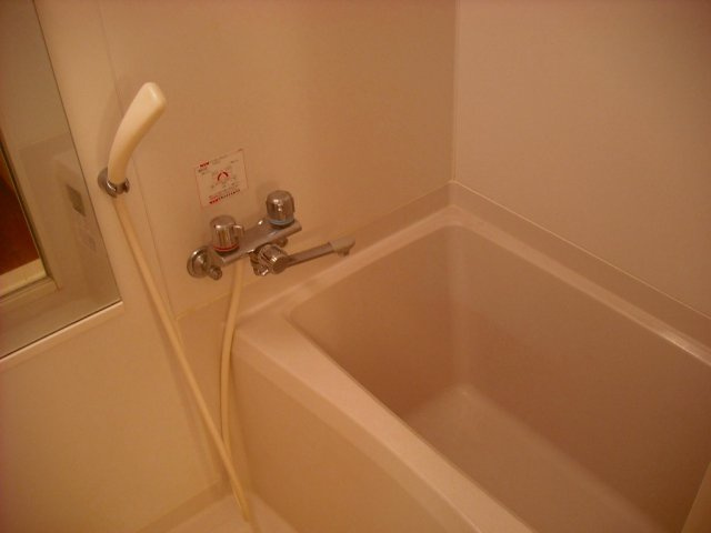 ミラーユ白山の浴室