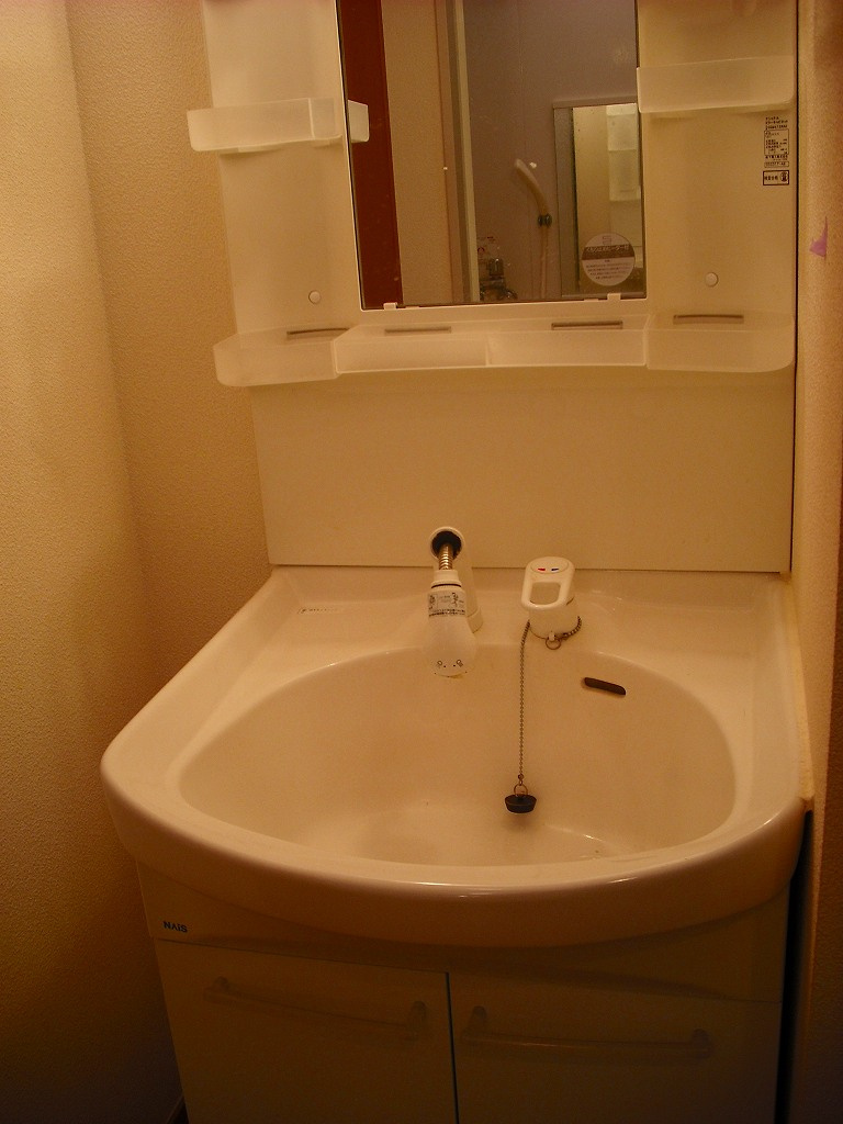 ミラーユ白山の洗面所