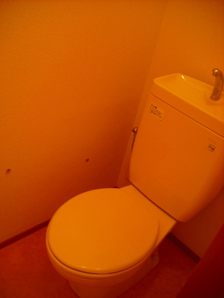 ミラーユ白山のトイレ