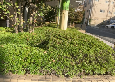 【庭】 | レールシティ八王子 | 物件によっては、入居者が個人的に使用できる専用庭がついているものもあります。また、住宅の中にある土間の部分を庭と呼ぶこともあります。庭の用途は住む人によって変わり、それによってデザインもさまざまです。