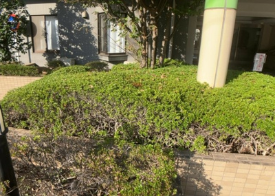 【中庭】 | レールシティ八王子 | 中庭（パティオ）とは、一つの建築物の内部に設けられた、壁などで囲われている庭のことを指します。コの字型、ロの字型が主流ですが、L字型の中庭もあります。最近では、インテリア性の高さからも人気があります。
