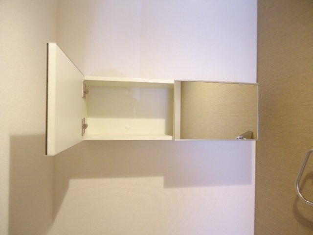 カミーラ南安城　　刈谷市近郊の賃貸ならクラスホーム刈谷店の収納|トイレ収納（ミラー付）