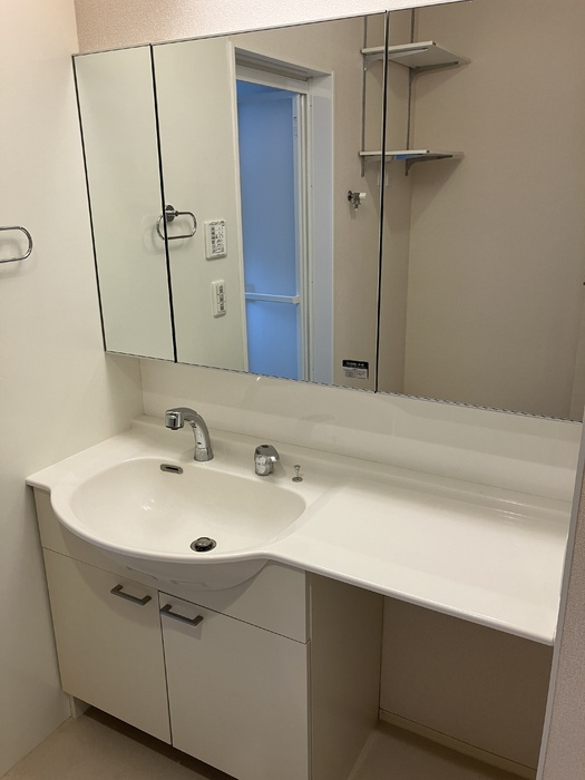 第５コスモスヴィラの洗面所