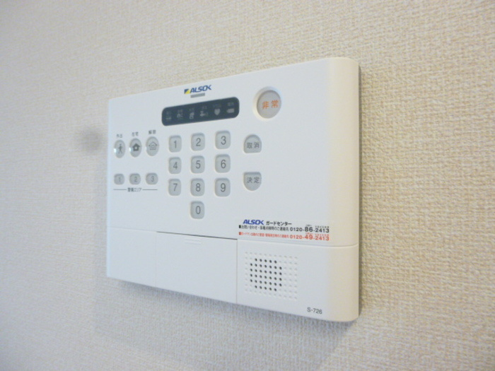 AlbaGrandeのその他