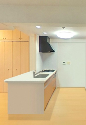 【キッチン】 | ル・グランデ住吉南 | CGによる家具等を消去したイメージ画像です。