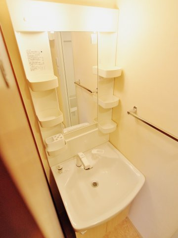 安芸郡海田町南堀川町の賃貸マンションの洗面所