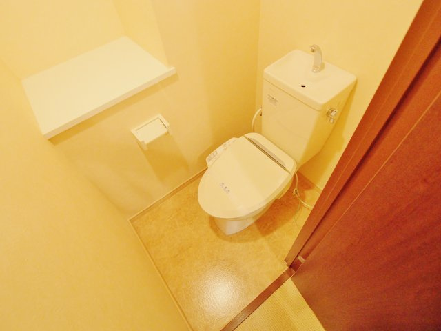 安芸郡海田町南堀川町の賃貸マンションのトイレ