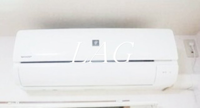 【その他】 | スターダスト柿生