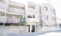 スターダスト柿生の画像