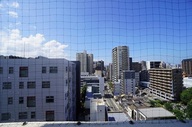 福岡市中央区薬院１丁目の賃貸マンションの展望|物件の画像13