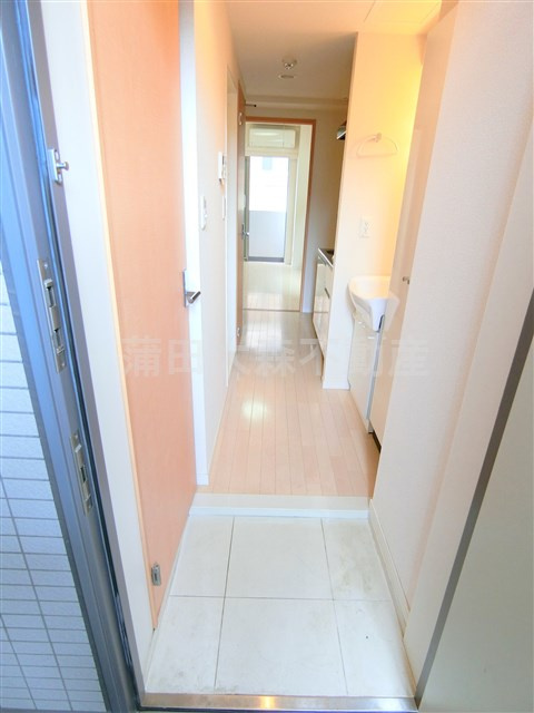 スカイコート武蔵新田の玄関|玄関　