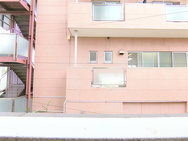 スカイコート武蔵新田の展望