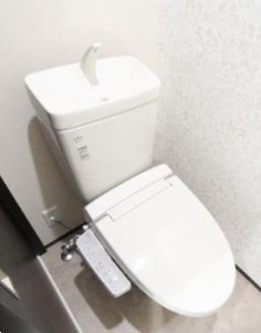 レジデンシア浦和皇山町のトイレ