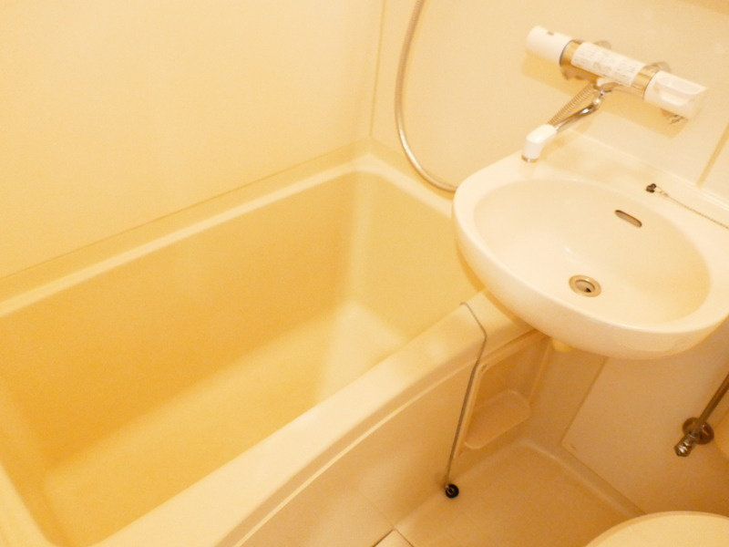 メゾン・ド・アゼリアの浴室