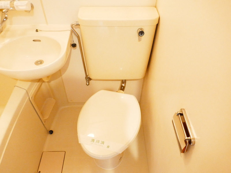 メゾン・ド・アゼリアのトイレ