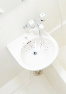 【洗面所】 | ロイヤルガーデン千鳥町 | 洗面台です。