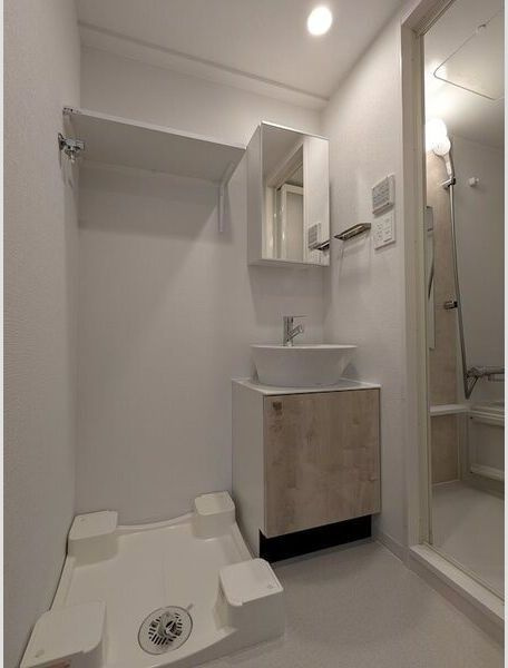 エスリード ザ・グレア大阪の洗面所