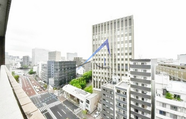 ハーモニーレジデンス門前仲町の展望