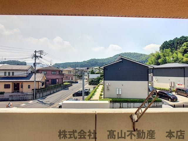 レジェンド桜の展望