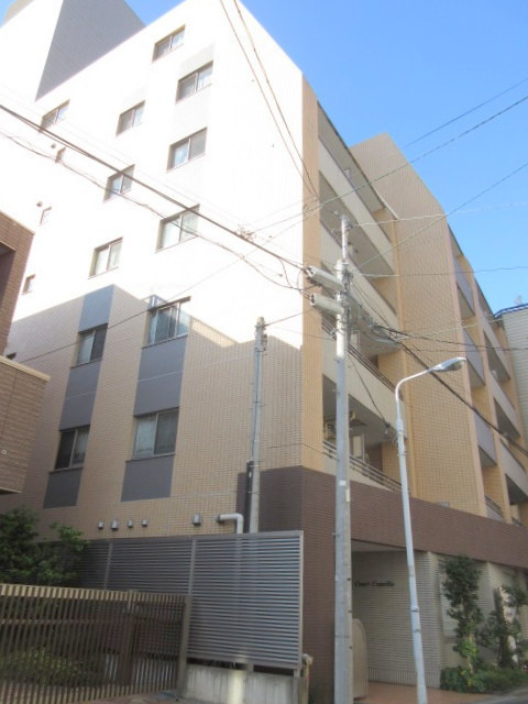 コートカメリア