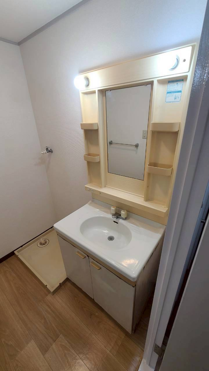 セザール春日部の独立洗面台