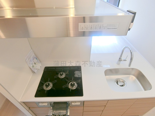 スタイリオ池上SOUTHのキッチン