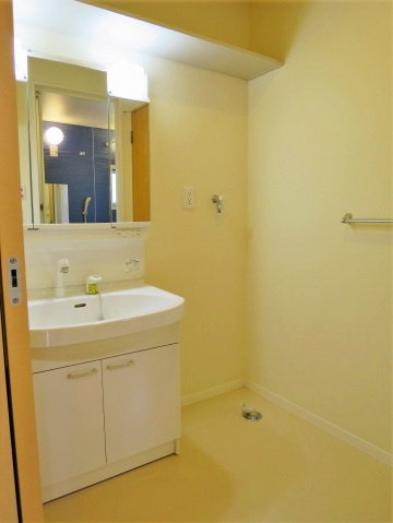 IKメゾン（Ｂ）の洗面所