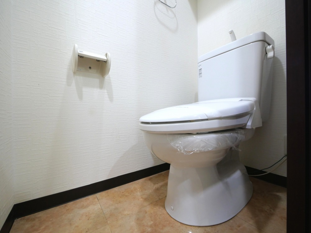 大阪市浪速区大国３丁目の賃貸マンションのトイレ