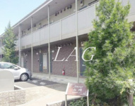 アムール　山崎の画像