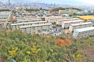 【展望】 | プラザ翠光