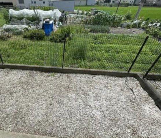 ハイツブランドールの庭