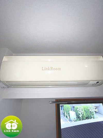 マーサ・プレアマールKのその他