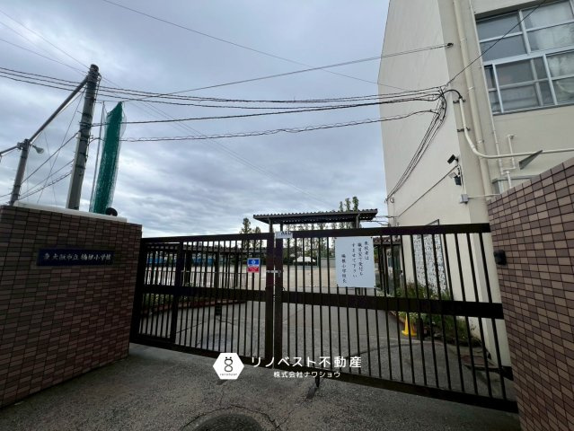 東大阪市楠根3丁目の周辺|学区：楠根小学校まで徒歩約10分（約750ｍ）