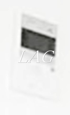 【セキュリティ】 | ル・リオン大塚 | モニター付きインターフォンです。