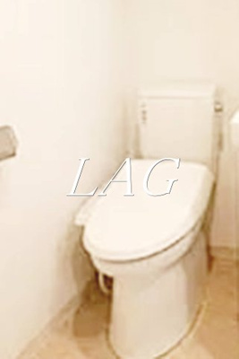 【トイレ】 | ル・リオン大塚 | トイレです。