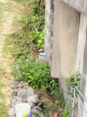 【庭】 | 宮古島市平良狩俣 敷地面積300㎡以上