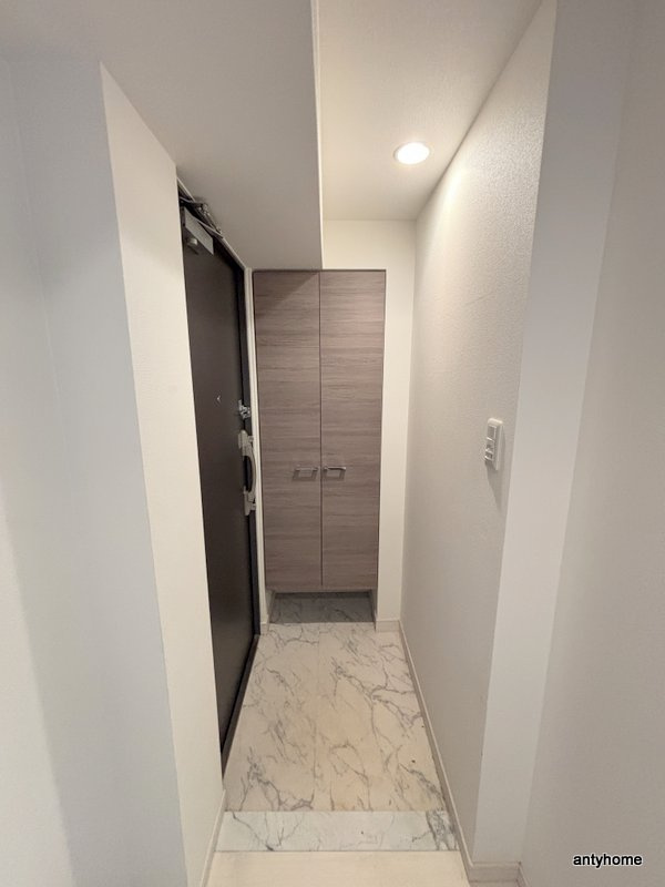 スワンズ江戸堀ウエストパーク　仲介手数料無料の玄関