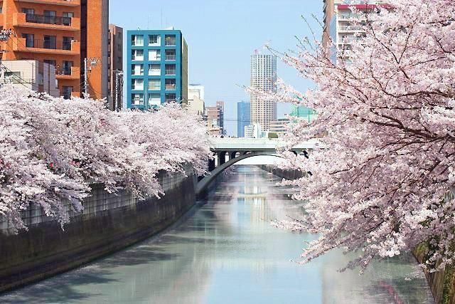 イトーピア目黒青葉台のその他