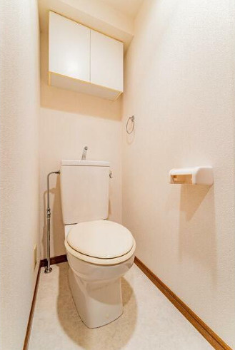 菱和パレス代官山　角部屋　セキュリティ完備　常時ゴミ出し可　宅配BOXのトイレ