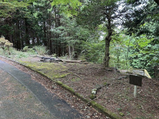 【外観】 | 東急天城高原別荘地　売地