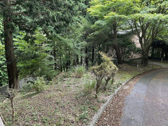 【外観】 | 東急天城高原別荘地　売地