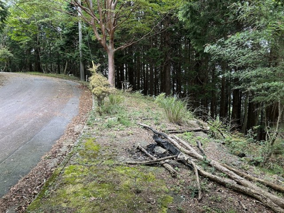 【前面道路含む現地写真】 | 東急天城高原別荘地　売地
