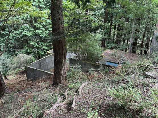【外観】 | 東急天城高原別荘地　売地