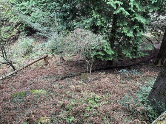 【外観】 | 東急天城高原別荘地　売地
