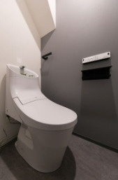 ステイザテラス王寺のトイレ