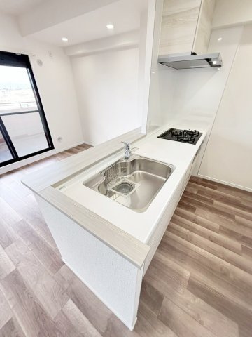 ダイアパレス新石切フォレストタウン292のキッチン