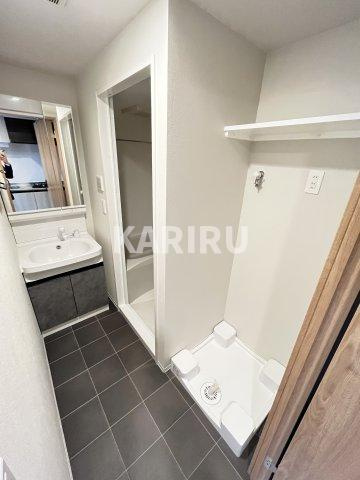 リンクス大阪城EASTレジデンスの洗面所