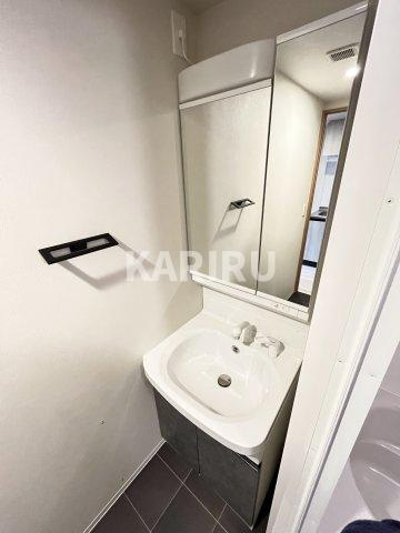 リンクス大阪城EASTレジデンスの洗面所